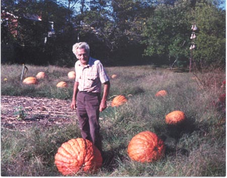 {short description of image}